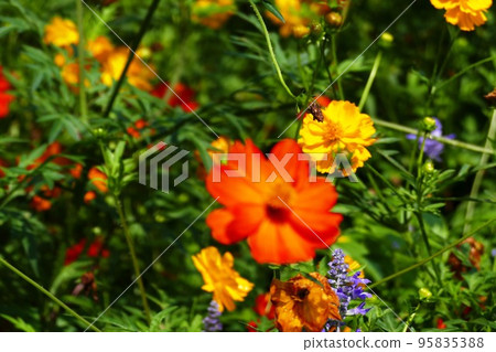 里山庭園 神奈川縣 95835388