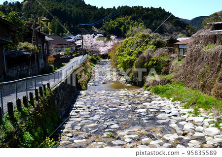 Chikuzen's Little Kyoto "Akizuki" Townscape colored with cherry blossoms in full bloom and fresh greenery Chikuzen's Little Kyoto "Akizuki" Townscape colored with cherry blossoms in full bloom and fresh greenery 95835589