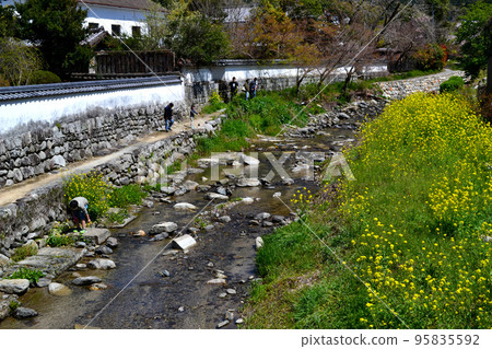 櫻花盛開、綠意盎然的築前小京都“秋月”街景 95835592