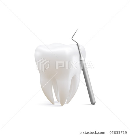 Realistic tooth and dental probe for teeth isolated on white background. Medical dentist tool. Dentistry, healthcare, hygiene Concept. Vector illustration Realistic tooth and dental probe for teeth isolated on white background. Medical dentist tool. Dentistry, healthcare, hygiene Concept. Vector illustration 95835719