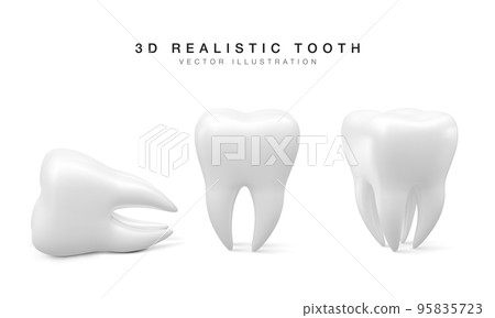 Set of white tooth in different position isolated on white background. Concept of dental examination of teeth, dental health and hygiene. Vector illustration 95835723