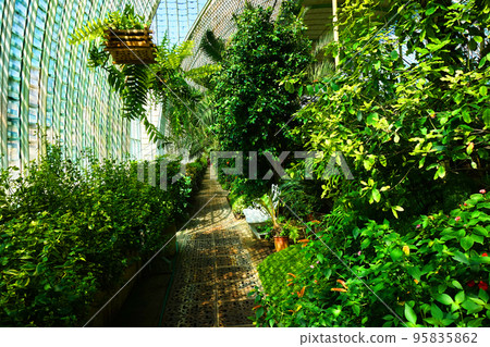 tropical greenhouse interior near Lednice castle 95835862