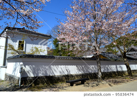 櫻花盛開、綠意盎然的築前小京都“秋月”街景 櫻花盛開、綠意盎然的築前小京都“秋月”街景 95836474