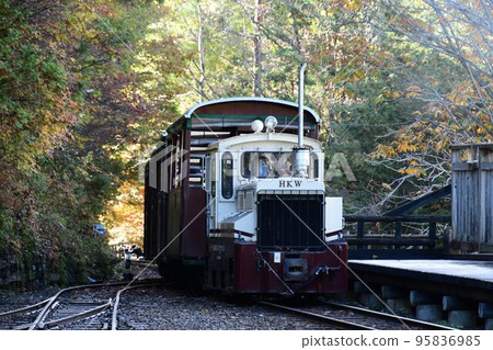 A passenger car pulled by a small diesel locomotive (Akasawa Forest Railway) 95836985