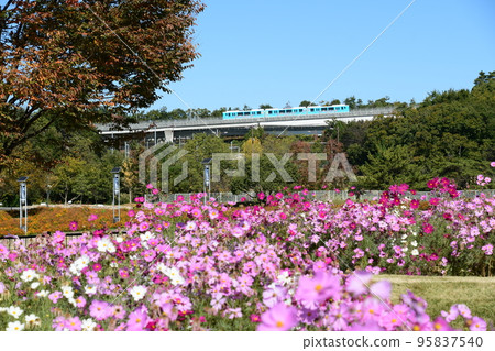 吉卜力公園盛開的宇宙和磁懸浮列車 吉卜力公園盛開的宇宙和磁懸浮列車 95837540