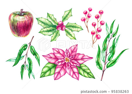 Watercolor Christmas plants set pink shade Watercolor Christmas plants set pink shade 95838263
