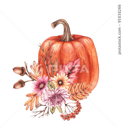 Watercolor pumpkin with flowers and dry leaves on a white background Watercolor pumpkin with flowers and dry leaves on a white background 95838266