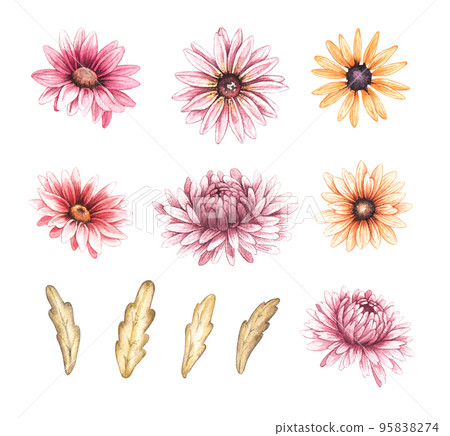 Watercolor set of autumn flowers on a white background 95838274