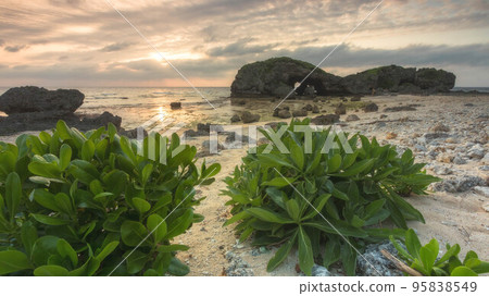 Okinawa Prefecture Apogama 95838549