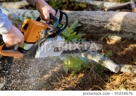 As result of powerful hurricane trees fell in autumn park the workers cut down trees As result of powerful hurricane trees fell in autumn park the workers cut down trees 95838676