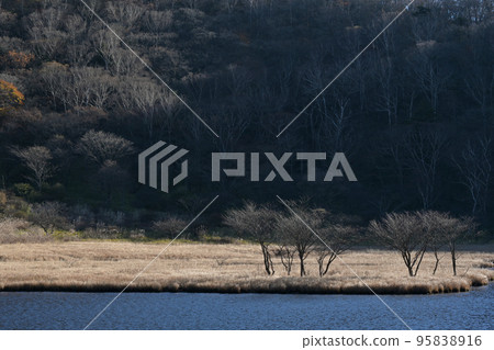 [Gunma Prefecture] Mt. Akagi in late autumn 95838916