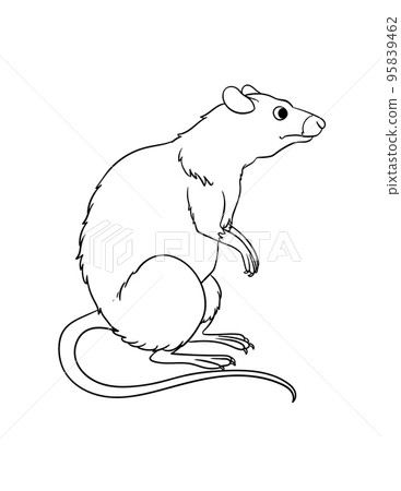 Mouse Isolated Coloring Page for Kids 95839462