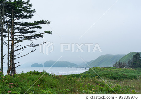 foggy coastline of Kunashir island with mountains hidden in haze foggy coastline of Kunashir island with mountains hidden in haze 95839970