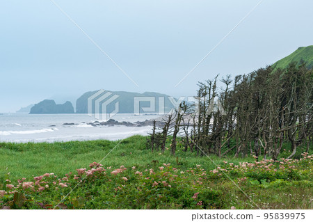 foggy coastline of Kunashir island with mountains hidden in haze foggy coastline of Kunashir island with mountains hidden in haze 95839975