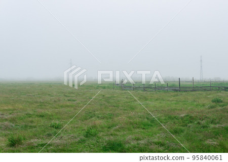 rural landscape, cattle paddock on a foggy pasture rural landscape, cattle paddock on a foggy pasture 95840061