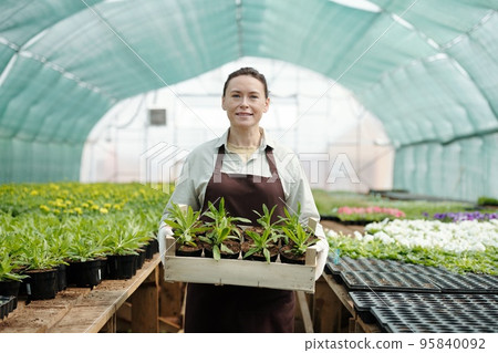 Photo realistic digital collage of mature woman holding flower seedlings Photo realistic digital collage of mature woman holding flower seedlings 95840092