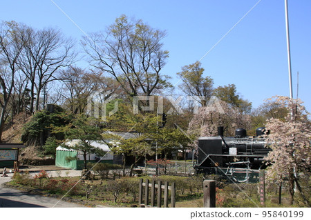 Steam locomotive C56 No. 144 at Komoro Castle Park 95840199