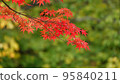 給秋天上色的朱紅色味道 95840211