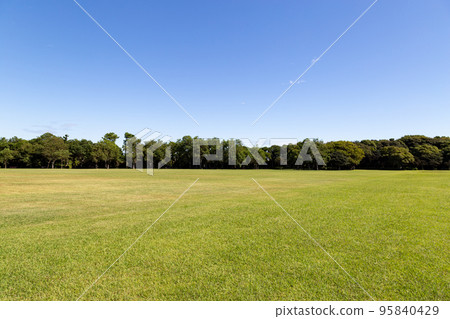 草坪廣場和藍天 95840429
