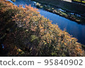 2022水邊秋天 95840902