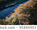 2022水邊秋天 95840903