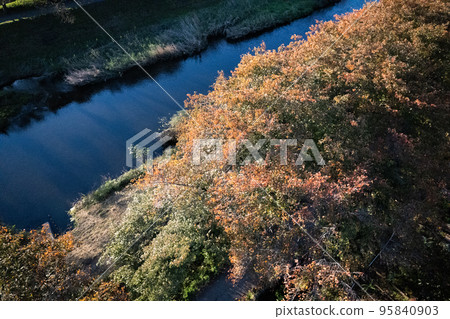 2022水邊秋天 95840903