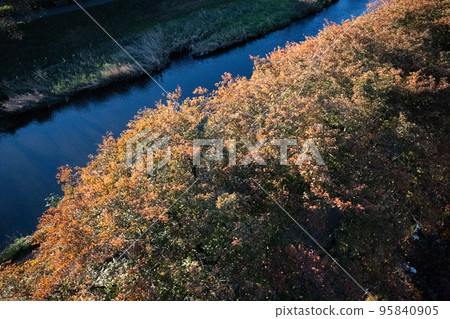 2022 Waterside Autumn 95840905