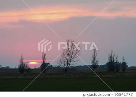 Windmill in pampas sunset landscape, La pampa, Argentina 95841777