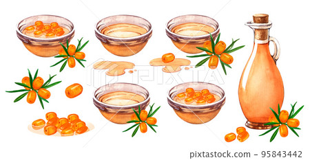 Set oil, honey, maple syrup sea buckthorn in glass bowl with berry. Natural fresh organic yellow vegetable oil realistic watercolor image. Glass peala with pure product inside close up element Set oil, honey, maple syrup sea buckthorn in glass bowl with berry. Natural fresh organic yellow vegetable oil realistic watercolor image. Glass peala with pure product inside close up element 95843442