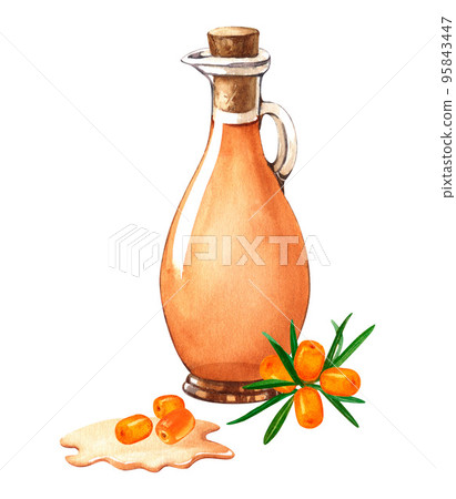 Sea buckthorn oil in glass jug with berry and tree branches illustration. Natural fresh organic yellow vegetable oil realistic watercolor image. Glass jar with pure product inside close up element Sea buckthorn oil in glass jug with berry and tree branches illustration. Natural fresh organic yellow vegetable oil realistic watercolor image. Glass jar with pure product inside close up element 95843447