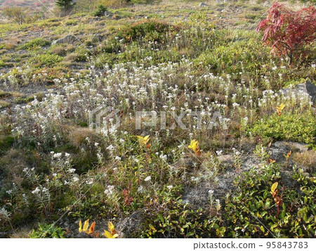 群馬縣吾妻郡草津町草津白根山，經常觀測的火山，湯釜的成層火山，攝於 2007 年 10 月 95843783