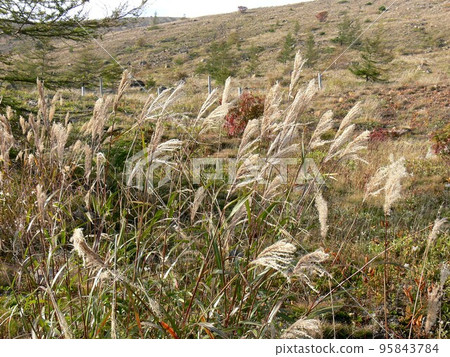 群馬縣吾妻郡草津町草津白根山，經常觀測的火山，湯釜的成層火山，攝於 2007 年 10 月 95843784