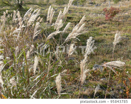群馬縣吾妻郡草津町草津白根山，經常觀測的火山，湯釜的成層火山，攝於 2007 年 10 月 95843785