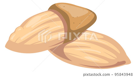 Almond cartoon icon. Healthy diet raw nut Almond cartoon icon. Healthy diet raw nut 95843948