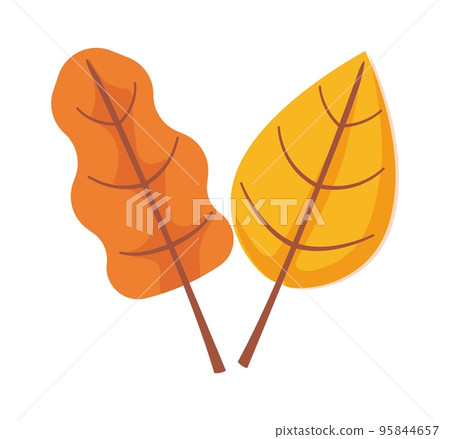 Autumn leaf object clipart. Birch and oak icon 95844657