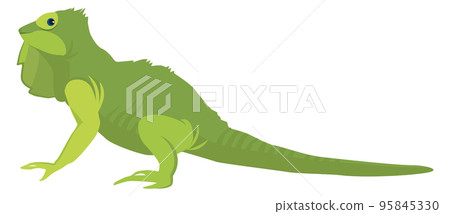 Green lizard. Iguana icon. Funny reptile animal 95845330