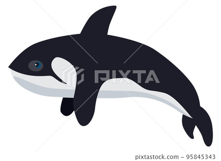 Orca icon. Underwater animal. Arctic ocean fauna Orca icon. Underwater animal. Arctic ocean fauna 95845343