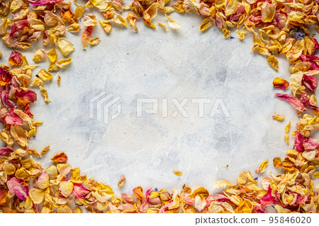 Frame of dried wild rose petals 95846020