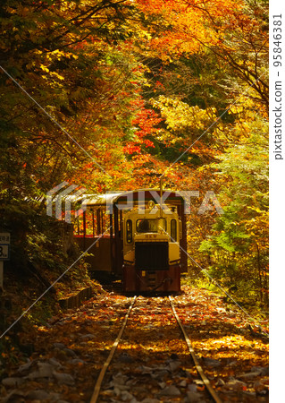 Akasawa Natural Recreation Forest trolley train running through autumn leaves Agematsu Town, Nagano Prefecture Akasawa Natural Recreation Forest trolley train running through autumn leaves Agematsu Town, Nagano Prefecture 95846381