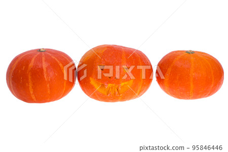 Pumpkins for Halloween Day isolated 95846446