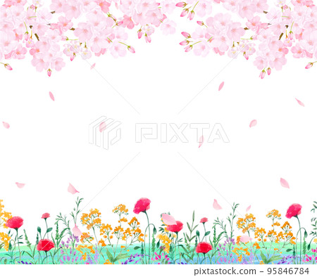 Beautiful and gorgeous light pink cherry blossoms in full bloom and spring flowers-spring white back frame background material with falling petals Beautiful and gorgeous light pink cherry blossoms in full bloom and spring flowers-spring white back frame background material with falling petals 95846784