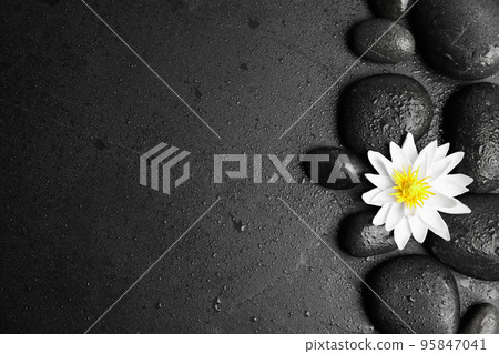 Stones, lotus flower and space for text on wet black background, flat lay. Zen lifestyle 95847041