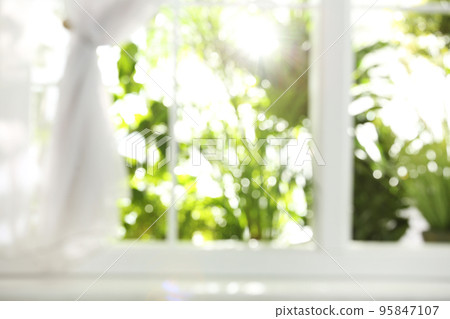 Blurred view through window on garden in morning Blurred view through window on garden in morning 95847107