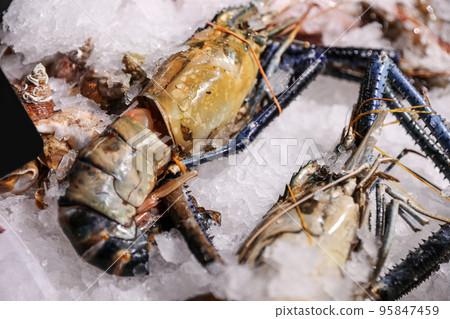 Fresh malaysian freshwater prawn on ice, closeup. Fish store 95847459