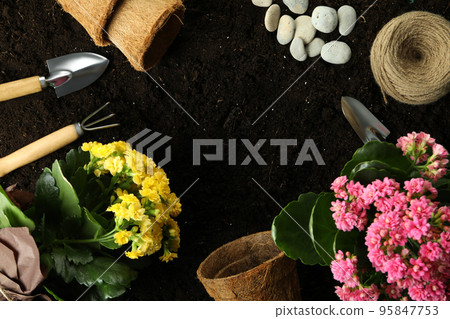 Accessories and tools for gardening on soil background Accessories and tools for gardening on soil background 95847753