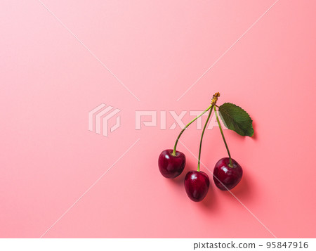 Cherry on pink background, copy space Cherry on pink background, copy space 95847916