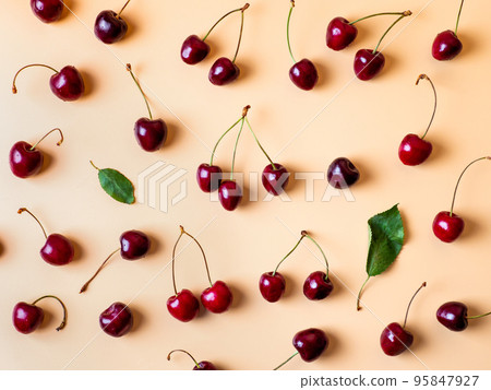 Fresh cherries scattered on yellow background Fresh cherries scattered on yellow background 95847927