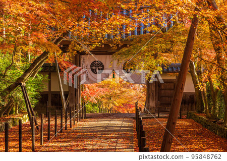 Autumn in Nagaokakyo, Kyoto, Komyo-ji Temple with maple leaves and Yakui-mon Gate 95848762