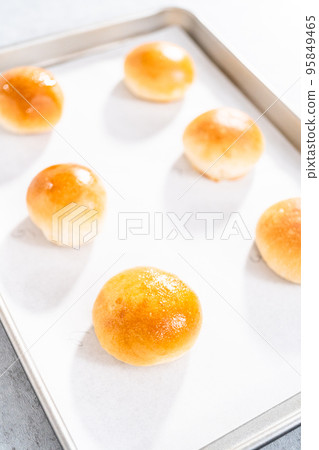 Freshly baked dinner rolls with an egg wash on a baking sheet lined with parchment paper. Freshly baked dinner rolls with an egg wash on a baking sheet lined with parchment paper. 95849465
