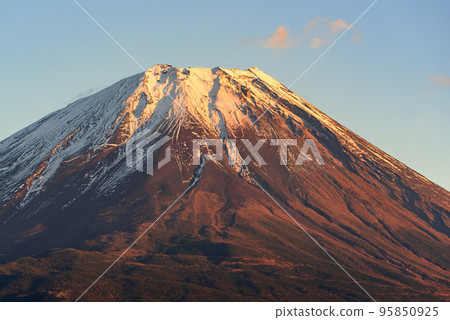 Red Fuji at dusk, close-up 95850925